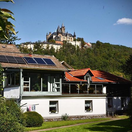 Pension Boettger Wernigerode Extérieur photo